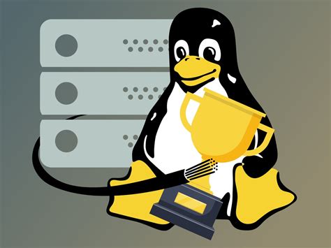 best linux distro for server